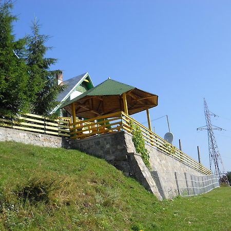 Pensiunea Luminita Ciungetu Kültér fotó